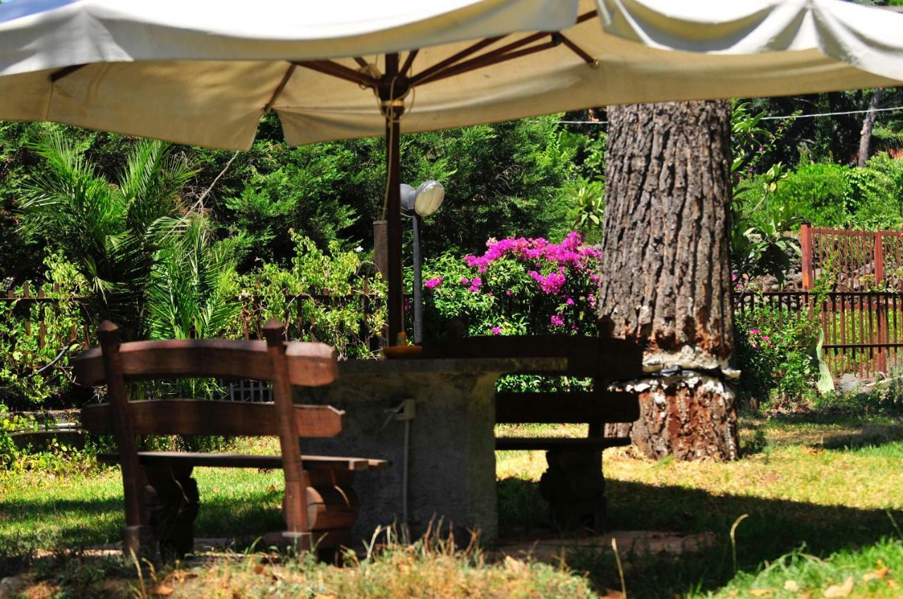 B&B Casa Di Antonio_Etna Vacanze Trecastagni Zewnętrze zdjęcie