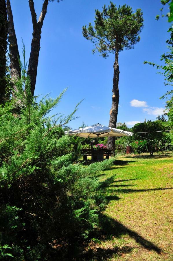 B&B Casa Di Antonio_Etna Vacanze Trecastagni Zewnętrze zdjęcie