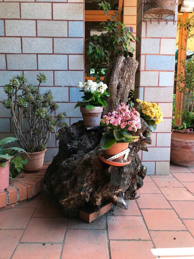B&B Casa Di Antonio_Etna Vacanze Trecastagni Zewnętrze zdjęcie
